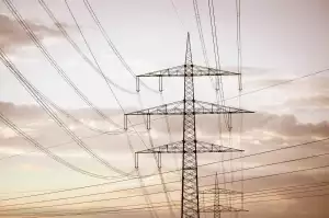 Jaký Strom Zasadit Při Narození Syna